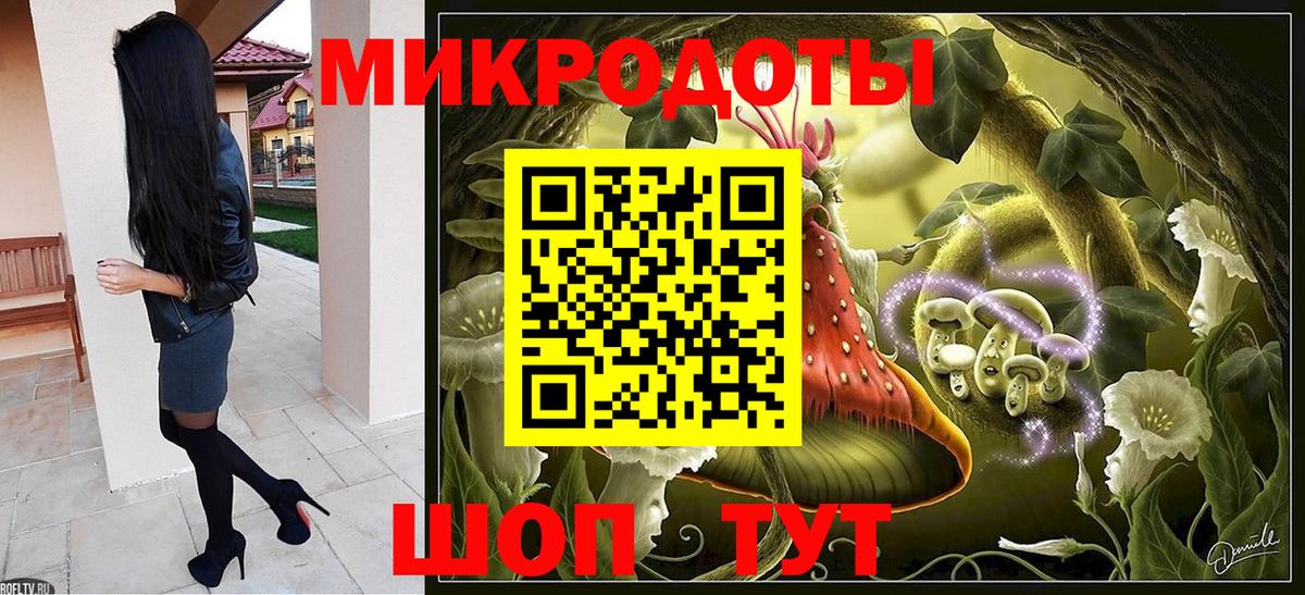 Псилоцибиновые грибы мицелий Богородск